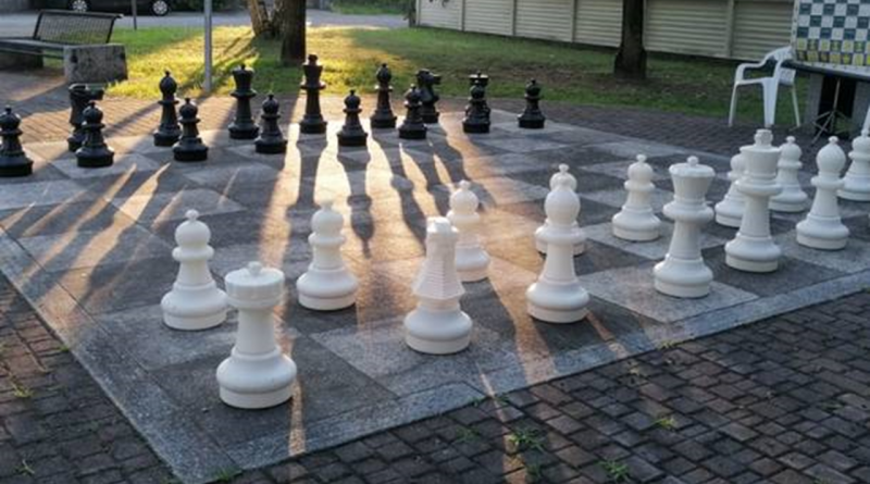 Cat: chess as therapy